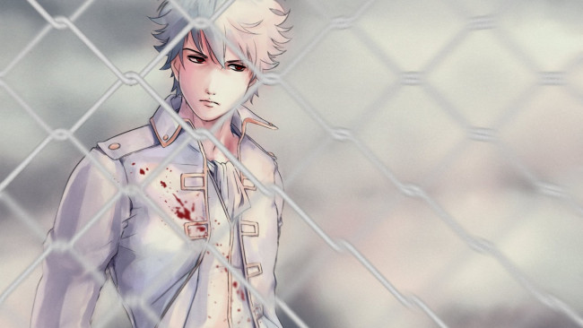 Обои картинки фото аниме, gintama, саката, гинтоки