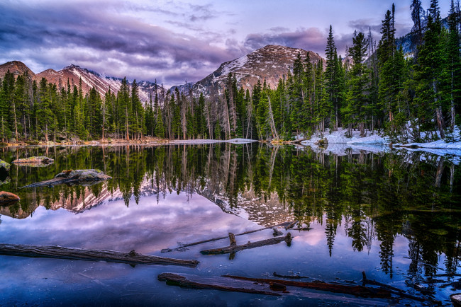 Обои картинки фото природа, реки, озера, лес, река