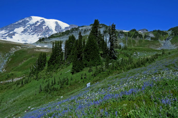 Картинка природа горы пейзаж