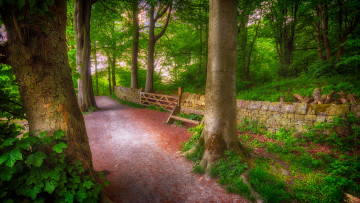 Картинка природа дороги простор