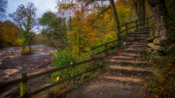 Картинка природа дороги простор