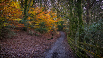 Картинка природа дороги простор