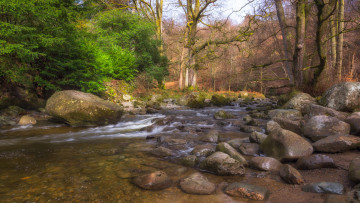 Картинка природа реки озера простор