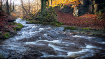 Картинка природа реки озера простор