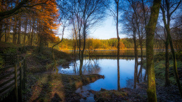 Картинка природа реки озера простор