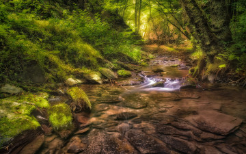 Картинка природа реки озера простор