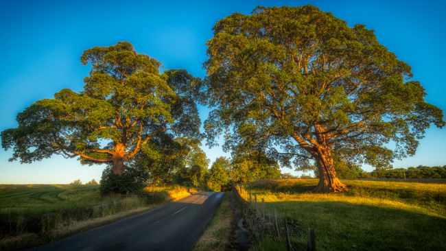 Обои картинки фото природа, дороги, простор