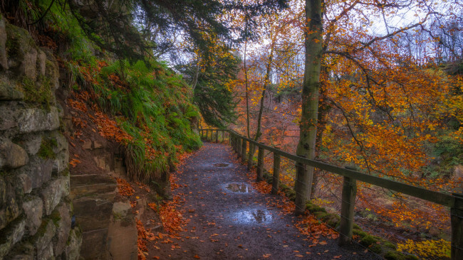 Обои картинки фото природа, дороги, простор