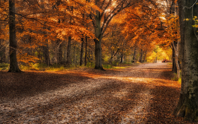 Обои картинки фото природа, дороги, простор