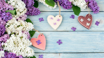 Картинка праздничные день+святого+валентина +сердечки +любовь сердечки сирень