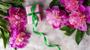 обоя праздничные, подарки и коробочки, пионы, подарок, бант