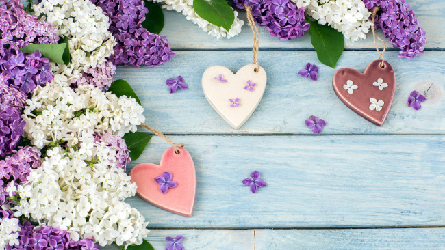 Обои картинки фото праздничные, день святого валентина,  сердечки,  любовь, сердечки, сирень