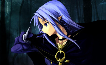 Картинка аниме fate stay+night +grand+order +apocrypha эльф плащ лес