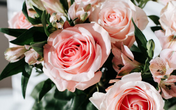 Картинка цветы букеты +композиции альстромерия розы