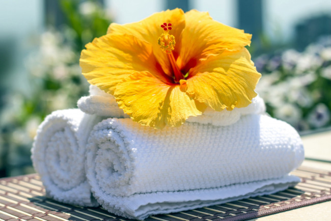 Обои картинки фото разное, предметы быта, желтый, гибискус, одиночка, макро