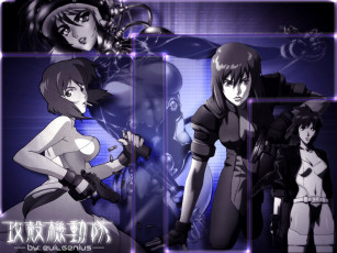 Картинка аниме ghost in the shell