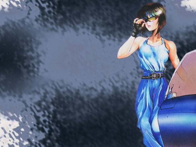 Обои картинки фото аниме, ghost, in, the, shell