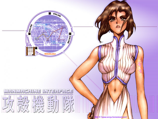 Обои картинки фото аниме, ghost, in, the, shell