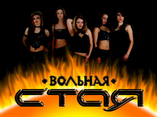 Картинка вольная стая музыка