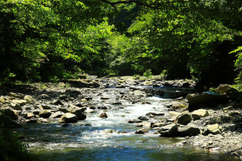 Картинка природа реки озера лес камни река