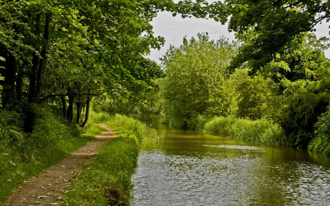 Обои картинки фото great, britain, природа, реки, озера, пейзаж, лес, деревья, англия, england, речка, тропинка