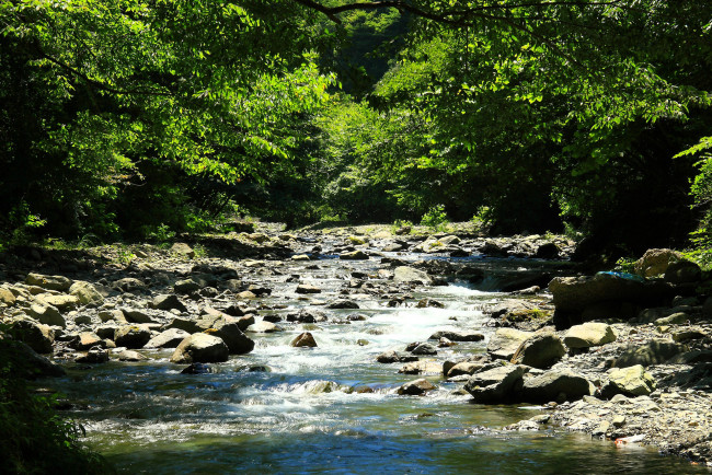 Обои картинки фото природа, реки, озера, лес, камни, река