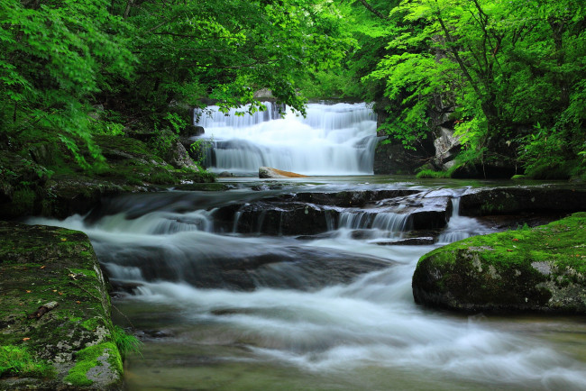 Обои картинки фото природа, реки, озера, лес, река