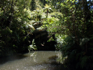 Картинка upper nihotupu new zealand природа реки озера река лес зеландия мостик