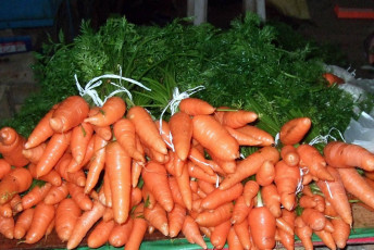 Картинка еда морковь