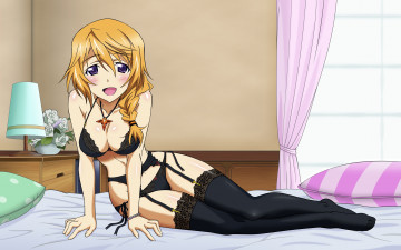 Картинка аниме infinite stratos