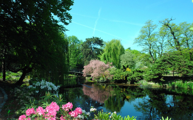 Обои картинки фото japanese, garden, wroc&, 322, aw, park, szczytnicki, природа, парк, мостик, река