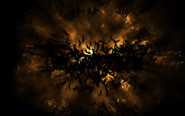 Обои картинки фото животные, летучие, мыши, ночь