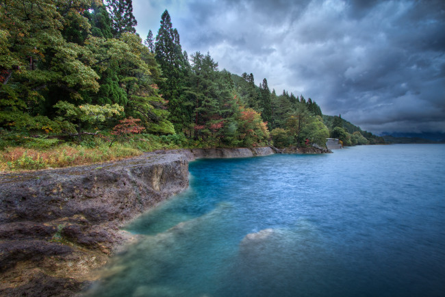 Обои картинки фото природа, побережье, вода, деревья, лес