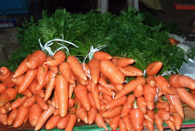 Обои картинки фото еда, морковь