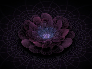 Картинка 3д графика flowers цветы фон узор лепестки