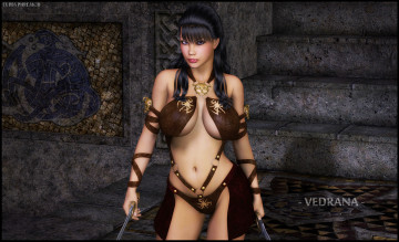 Картинка 3д графика fantasy фантазия девушка мечи