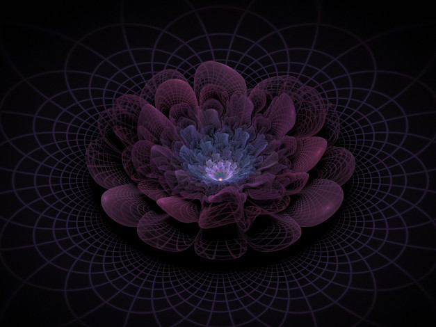 Обои картинки фото 3д, графика, flowers, цветы, фон, узор, лепестки