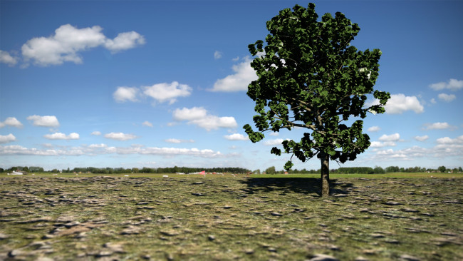 Обои картинки фото 3д, графика, nature, landscape, природа, дерево, облака