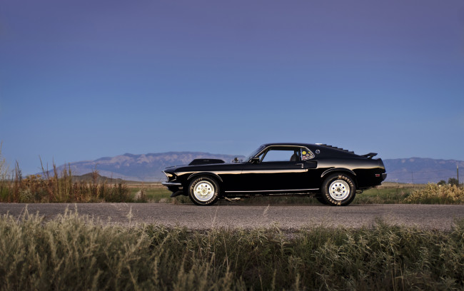 Обои картинки фото автомобили, mustang