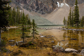 Картинка природа реки озера река лес горы