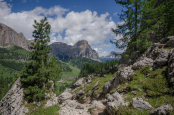 Картинка природа горы лес долина скалы