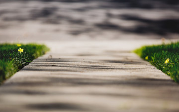 Картинка природа дороги асфальт цветы трава дорога