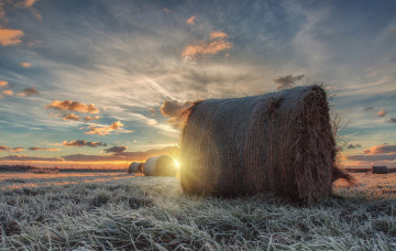 Картинка природа восходы закаты рассвет поле