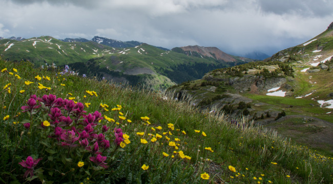 Обои картинки фото природа, луга, склон, цветы, трава, горы