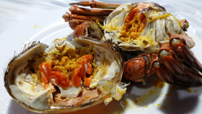 Обои картинки фото еда, рыба,  морепродукты,  суши,  роллы, краб