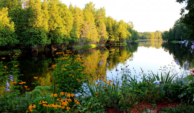 Обои картинки фото природа, реки, озера, река, лес