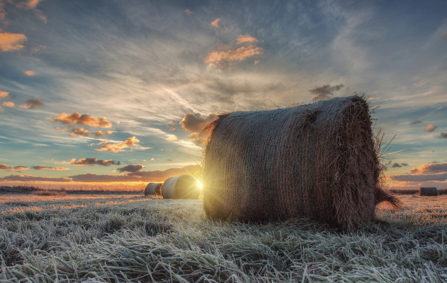 Обои картинки фото природа, восходы, закаты, рассвет, поле