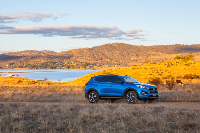 Обои картинки фото автомобили, hyundai, 2015г, au-spec, tucson