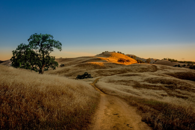 Обои картинки фото природа, дороги, холмы, трава, грунтовка