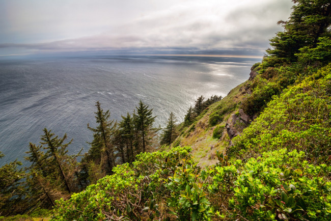 Обои картинки фото природа, побережье, океан, берег, лес